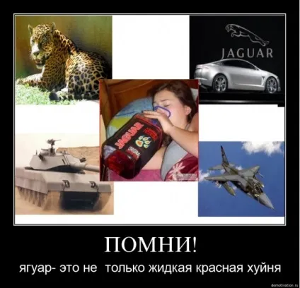 Яга, netlore репер сява, яга-фест, ягуар, алкоголь, бидло, здоров'я, молодь, реп, енергетичні