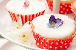 Зацукровані квіти, artотека їжі (приготування зацукрованих квітів) Зацукровані квіти, artотека їжі