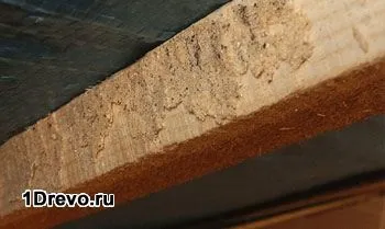 Захист дерев'яного будинку від короеда своїми руками кошти, способи - легка справа (захист) Захист дерев'яного будинку від короеда своїми руками кошти, способи - легка справа