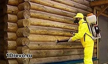 Захист дерев'яного будинку від короеда своїми руками кошти, способи - легка справа (будинку) Захист дерев'яного будинку від короеда своїми руками кошти, способи - легка справа