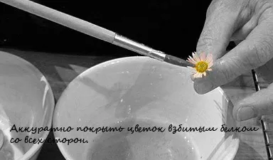 Зацукровані квіти 1