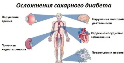 Лікування бджолиним підмором цукрового діабету, його лікувальні властивості (лікування) Лікування бджолиним підмором цукрового діабету, його лікувальні властивості