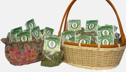Лікування гаймориту у дорослих народними засобами в домашніх умовах (народними) Лікування гаймориту у дорослих народними засобами в домашніх умовах