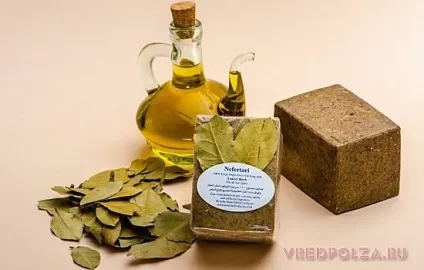 Лавровий лист користь і шкода (користь) Лавровий лист користь і шкода