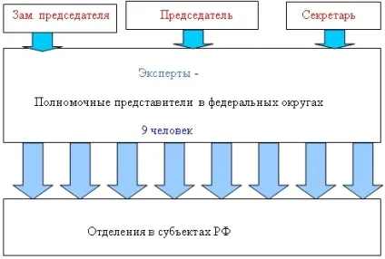 Кваліфікаційні ступеня, федерація дзюдо і самбо приморського краю