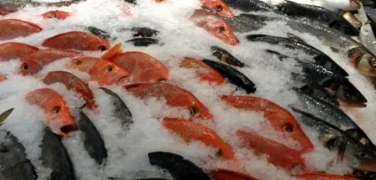 5 Продуктів, які ніколи не слід заморожувати повторно (які) 5 Продуктів, які ніколи не слід заморожувати повторно