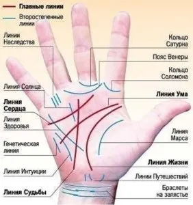 Знаки на руці - хіромантія, фото, значення, пальці (знаки на руці) Знаки на руці - хіромантія, фото, значення, пальці