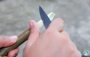 Жердинка для папуги