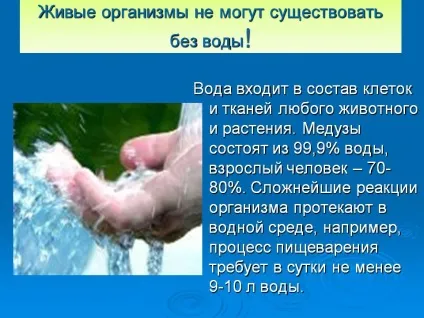 Живі організми не можуть існувати без води - презентація 13095-6 (живі) Живі організми не можуть існувати без води - презентація 13095-6