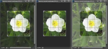 10 Речей, які потрібно знати про обрізання зображень в photoshop