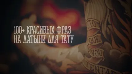 100 Красивих фраз для татуювань на латині - татуювання на (татуювань) 100 Красивих фраз для татуювань на латині - татуювання на