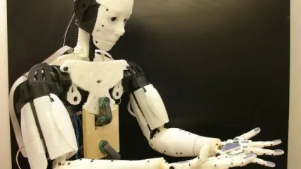 10 Самих незвичайних речей, які можна надрукувати на 3d-принтері (речей) 10 Самих незвичайних речей, які можна надрукувати на 3d-принтері