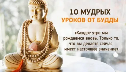 10 Мудрих уроків будди, які допоможуть позбутися від хвилювань - це життя (людина говорить діє) 10 Мудрих уроків будди, які допоможуть позбутися від хвилювань - це життя