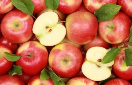 10 Цікавих фактів про яблука, які варто знати кожному (фактів) 10 Цікавих фактів про яблука, які варто знати кожному