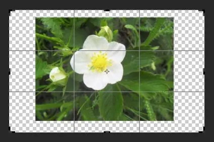 10 Речей, які потрібно знати про обрізання зображень в photoshop