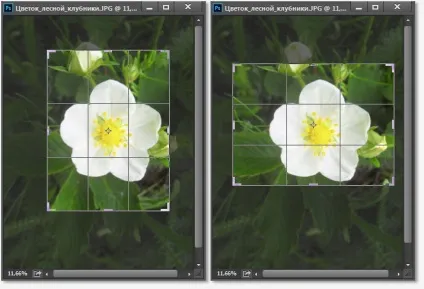 10 Речей, які потрібно знати про обрізання зображень в photoshop