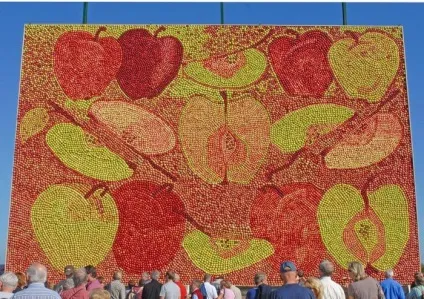 10 Цікавих фактів про яблука, які варто знати кожному (цікавих) 10 Цікавих фактів про яблука, які варто знати кожному