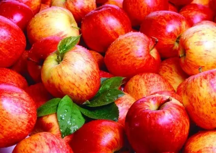 10 Цікавих фактів про яблука, які варто знати кожному (яблуках) 10 Цікавих фактів про яблука, які варто знати кожному
