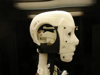 10 Самих незвичайних речей, які можна надрукувати на 3d-принтері (речей) 10 Самих незвичайних речей, які можна надрукувати на 3d-принтері