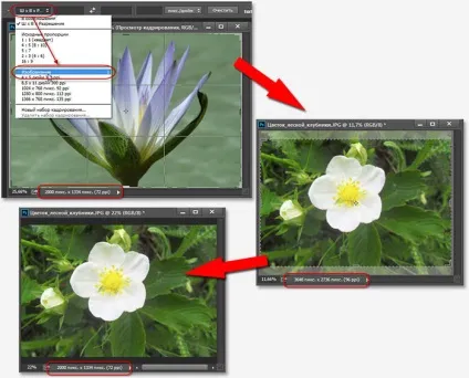 10 Речей, які потрібно знати про обрізання зображень в photoshop