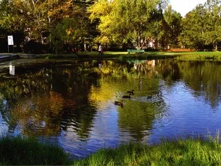 15 Найкрасивіших місць для фотосесій