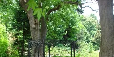 25 дачних ідей, яким зрадіє кожна дитина (ідей) 25 дачних ідей, яким зрадіє кожна дитина