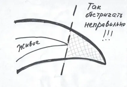2, Як правильно стригти кігті собаки, статті (Полтаві) 2, Як правильно стригти кігті собаки, статті