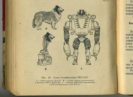 1958 рік