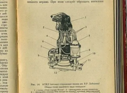 1958 рік
