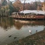 7 Недорогих варіантів відпочинку в карпатах - ukraine is (відпочинку) 7 Недорогих варіантів відпочинку в карпатах - ukraine is