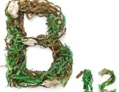 7 Показників біологічного віку людини скільки років вашому організму (визначення біологічного віку) 7 Показників біологічного віку людини скільки років вашому організму