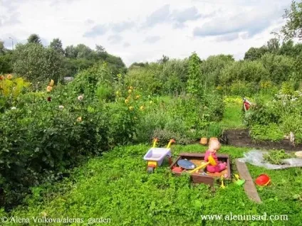 6 Способів використання чорного спанбонду на моєму городі (городі) 6 Способів використання чорного спанбонду на моєму городі