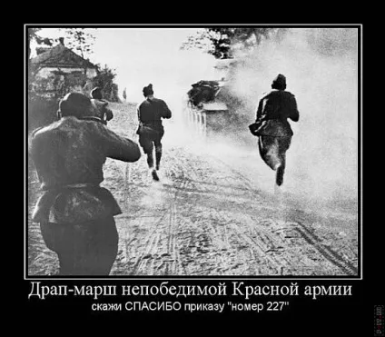 99 Кращих військових демотиваторів (Демотиватори коте фото) 99 Кращих військових демотиваторів