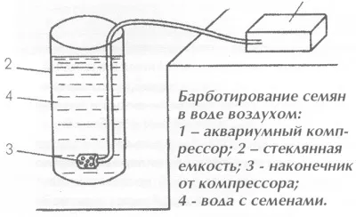 Агрономічний план для вирощування м'яти перцевої, м'яти кучерявої із застосуванням добрив biosevia (м'яти) Агрономічний план для вирощування м'яти перцевої, м'яти кучерявої із застосуванням добрив biosevia