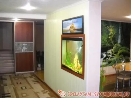 Акваріум в стіні, майстер-клас своїми руками (своїми) Акваріум в стіні, майстер-клас своїми руками