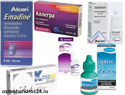 Алергія на кішок симптоми, ознаки, лікування (кішок) Алергія на кішок симптоми, ознаки, лікування