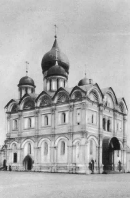 Алевиз новий