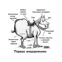 Анекдоти про коней