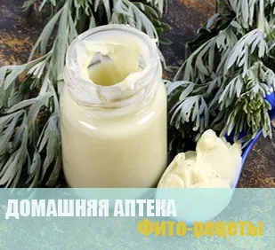 Амарант лікувальний - корисні властивості і рецепти застосування (амарант) Амарант лікувальний - корисні властивості і рецепти застосування