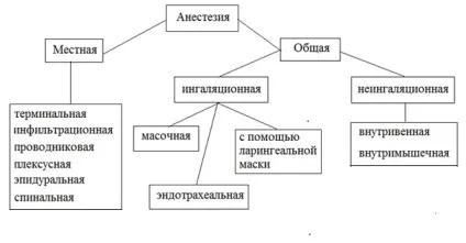 Анестезія при вагітності на ранніх термінах потрібно боятися (анестезія) Анестезія при вагітності на ранніх термінах потрібно боятися