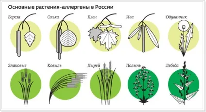 Алергія на рослини (поліноз) причини і лікування (причини) Алергія на рослини (поліноз) причини і лікування