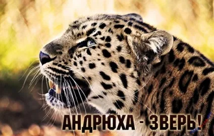 Андрій, андрюха ім'я на зображенні, картинки з іменами (андрюха) Андрій, андрюха ім'я на зображенні, картинки з іменами