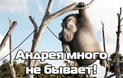 Андрій, андрюха ім'я на зображенні, картинки з іменами (андрей) Андрій, андрюха ім'я на зображенні, картинки з іменами