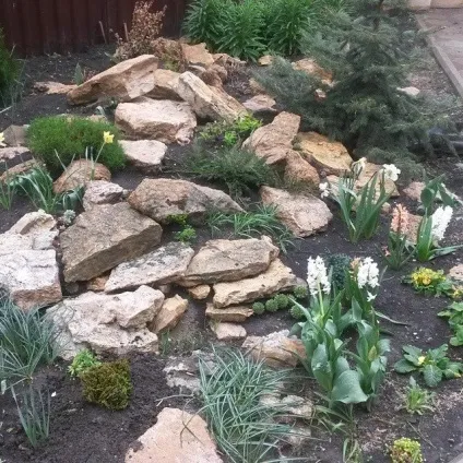 Альпійська гірка своїми руками покрокове фото і відео (руками) Альпійська гірка своїми руками покрокове фото і відео