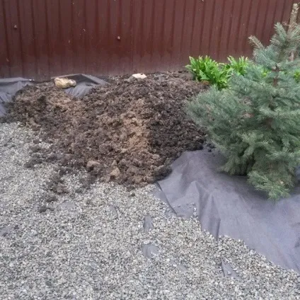 Альпійська гірка своїми руками покрокове фото і відео (руками) Альпійська гірка своїми руками покрокове фото і відео