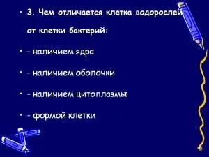 Бактерії і водорості відміну і схожість, як розмножуються і чим харчуються (відміну) Бактерії і водорості відміну і схожість, як розмножуються і чим харчуються