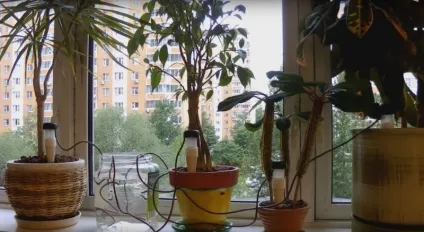 Автоматична система крапельного поливу для кімнатних рослин