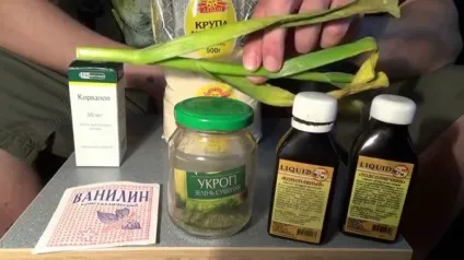 Ароматизатори для риболовлі своїми руками і кращі ароматизатори (руками) Ароматизатори для риболовлі своїми руками і кращі ароматизатори