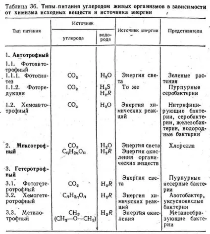 Автотрофность і гетеротрофность