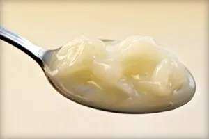 Борсуковий жир - застосування при бронхіті і кашлі (борсуковий) Борсуковий жир - застосування при бронхіті і кашлі